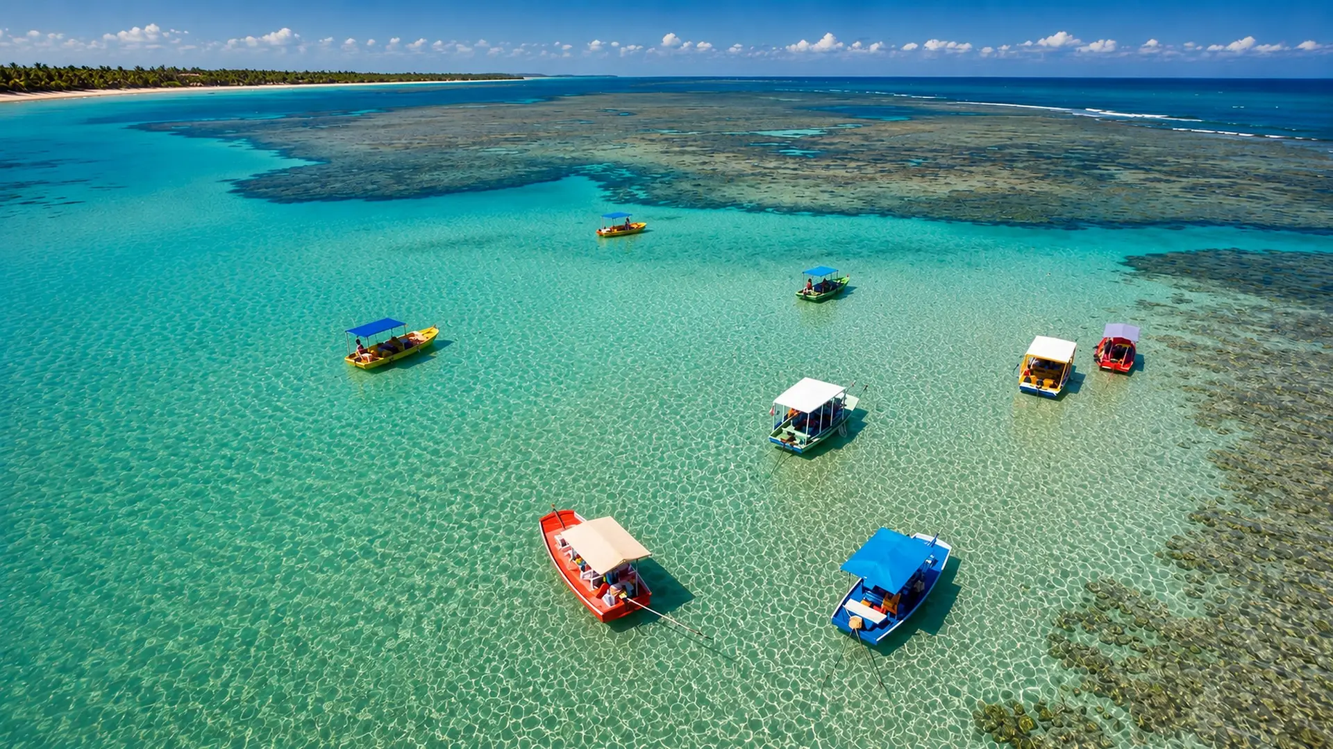 Litoral Norte, Alagoas